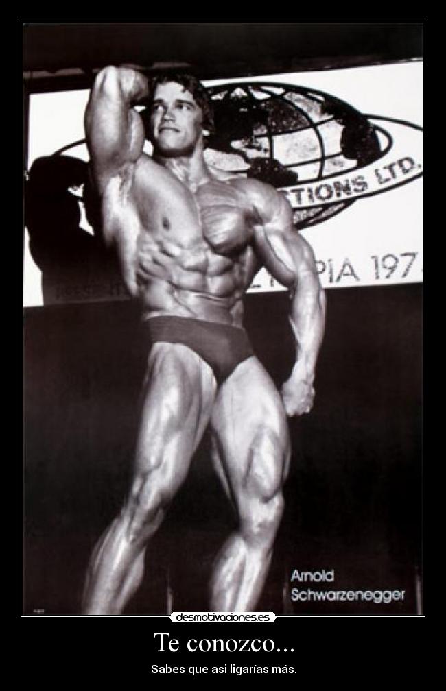 carteles body cuerpo desmotivaciones