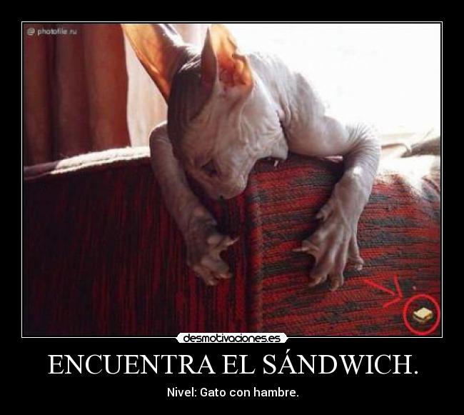 ENCUENTRA EL SÁNDWICH. - Nivel: Gato con hambre.