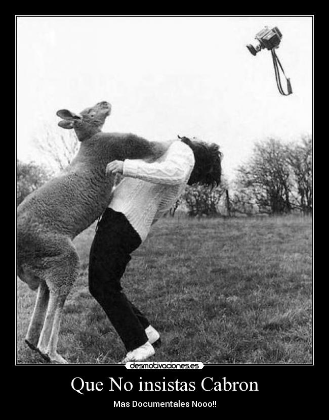 Que No insistas Cabron - Mas Documentales Nooo!!