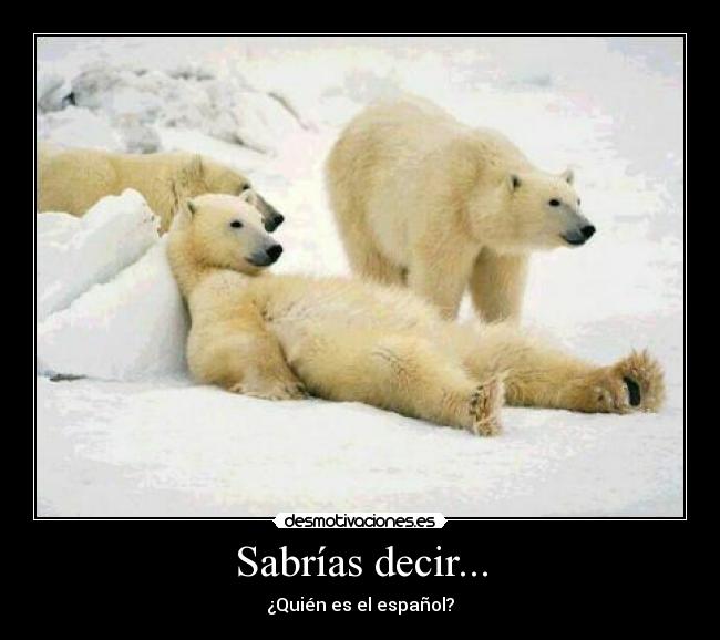 Sabrías decir... - ¿Quién es el español?