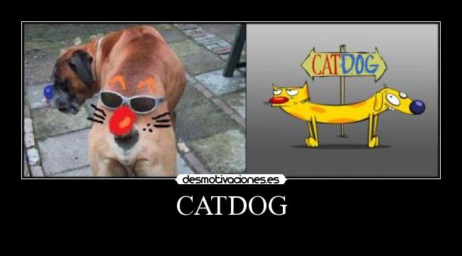 CATDOG -