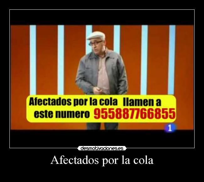 Afectados por la cola - 