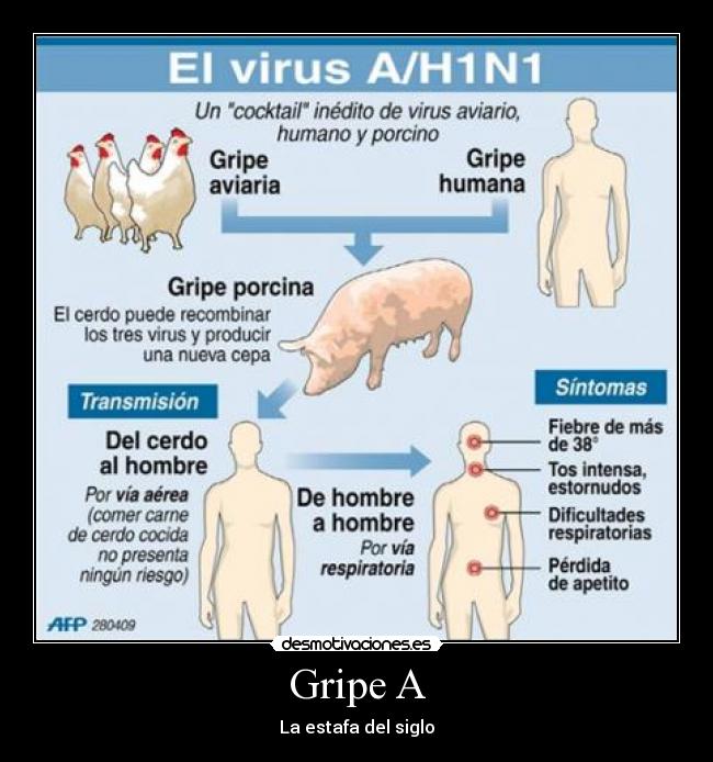 Gripe A - La estafa del siglo
