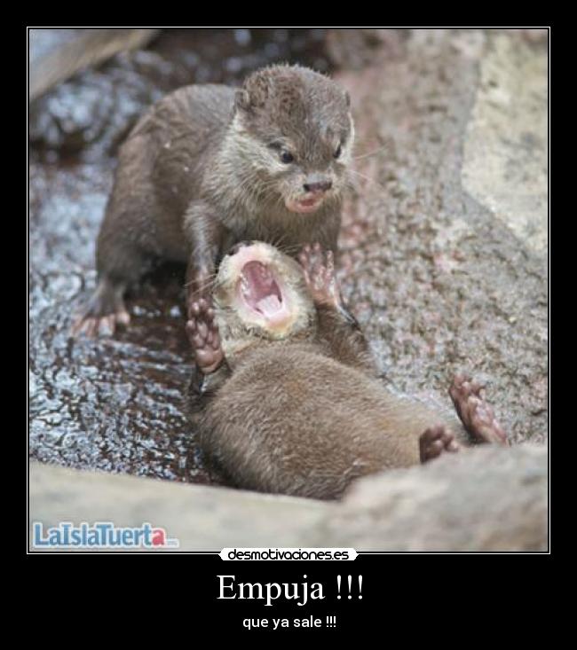 Empuja !!! - 