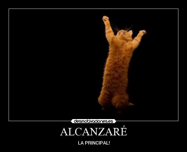 ALCANZARÉ - 