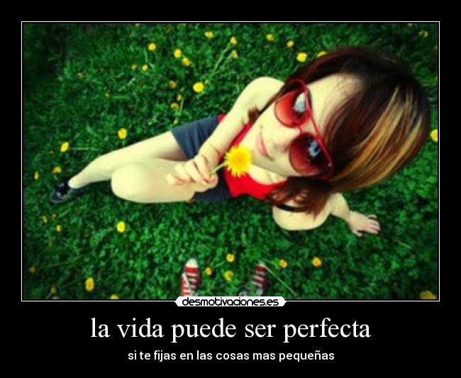 la vida puede ser perfecta - si te fijas en las cosas mas pequeñas
