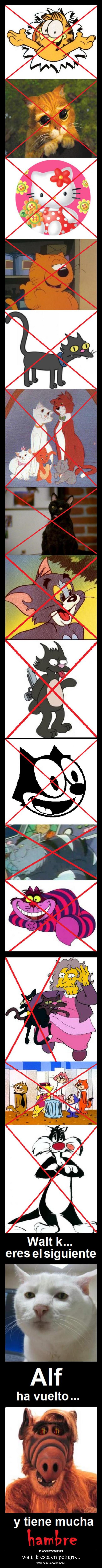 walt_k esta en peligro... -