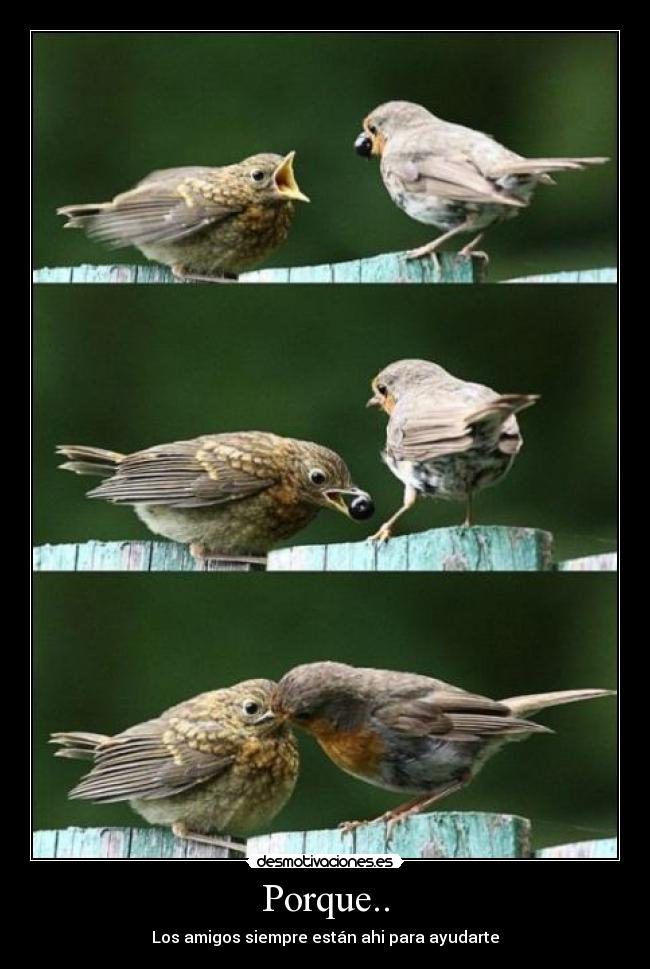 carteles amigos desmotivaciones