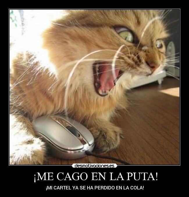 ¡ME CAGO EN LA PUTA! - ¡MI CARTEL YA SE HA PERDIDO EN LA COLA!