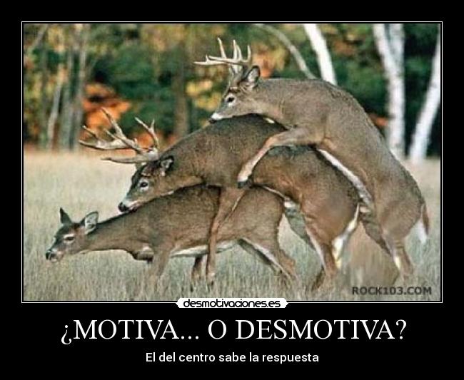 carteles pablo desmotivaciones