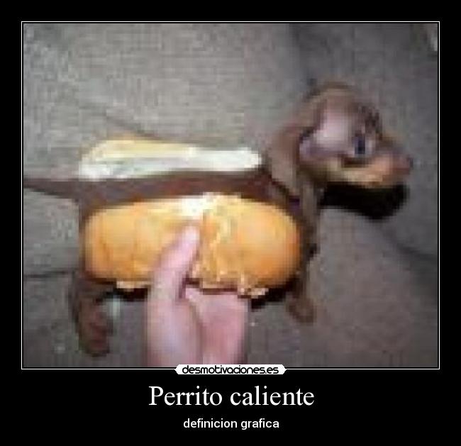 Perrito caliente - definicion grafica