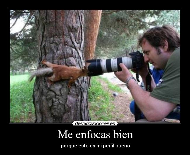 carteles enfocas bien porque este perfil bueno desmotivaciones