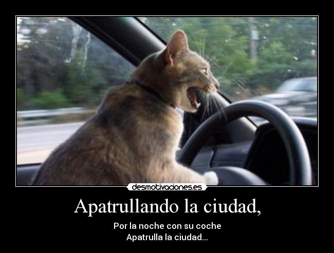 Apatrullando la ciudad, - Por la noche con su coche
Apatrulla la ciudad...