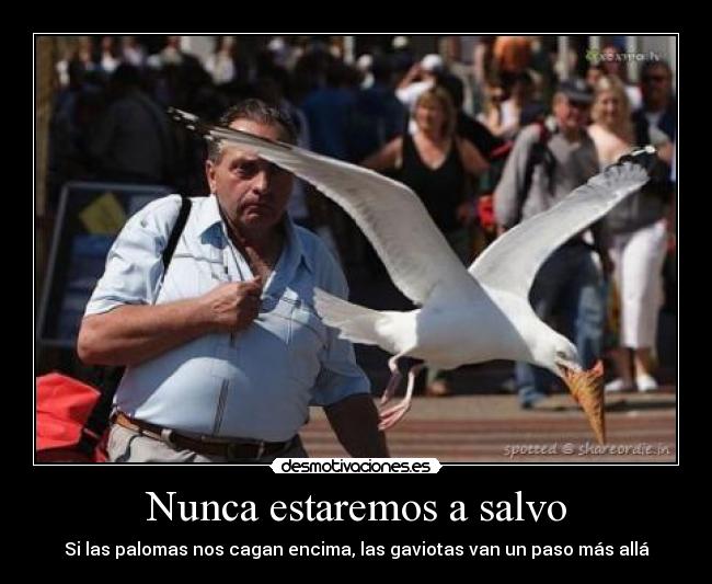 Nunca estaremos a salvo -