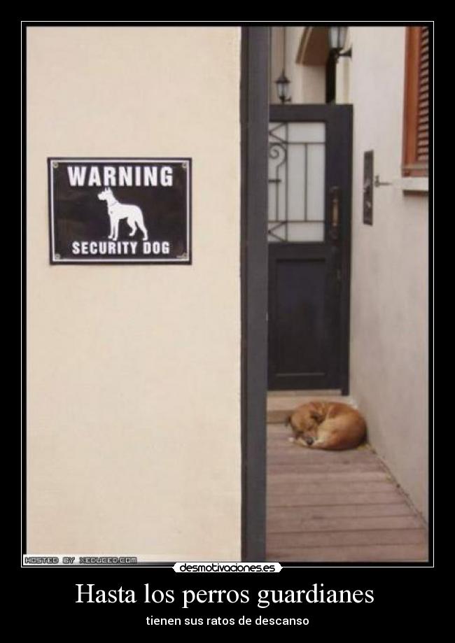 Hasta los perros guardianes -