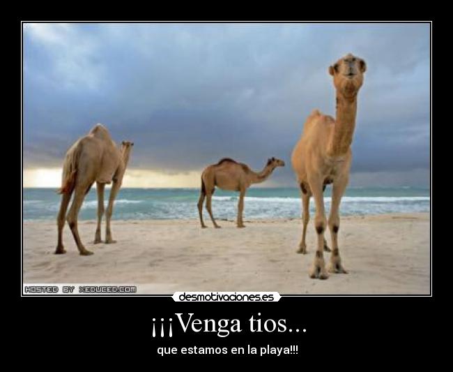 ¡¡¡Venga tios... -