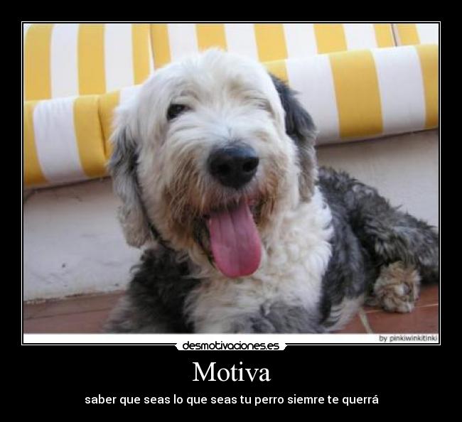 Motiva - 