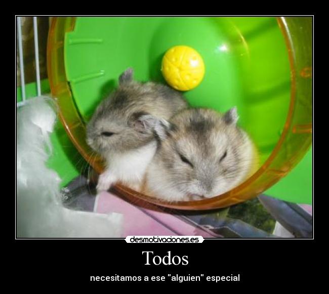 carteles todos desmotivaciones