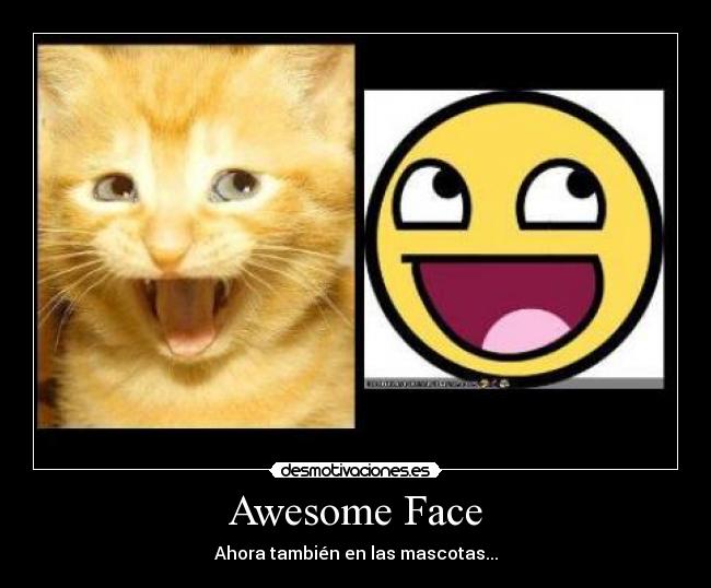 Awesome Face - 