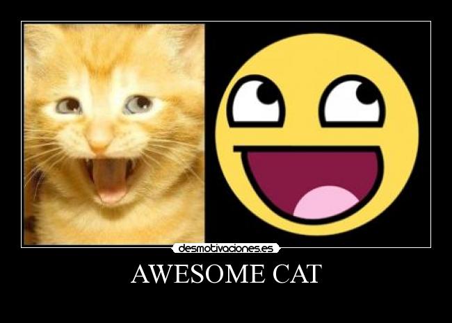 AWESOME CAT -