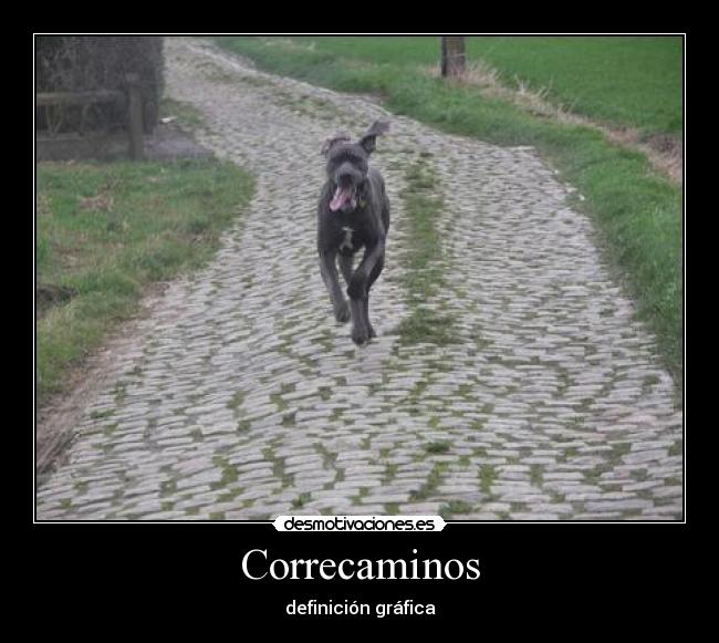 Correcaminos -