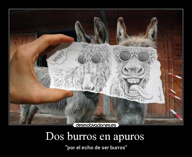 Dos burros en apuros  - 