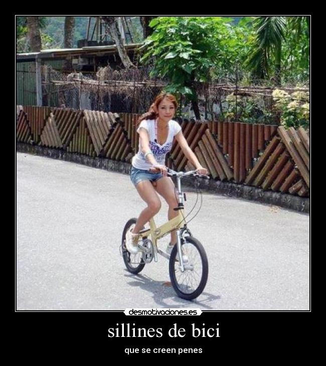 sillines de bici -
