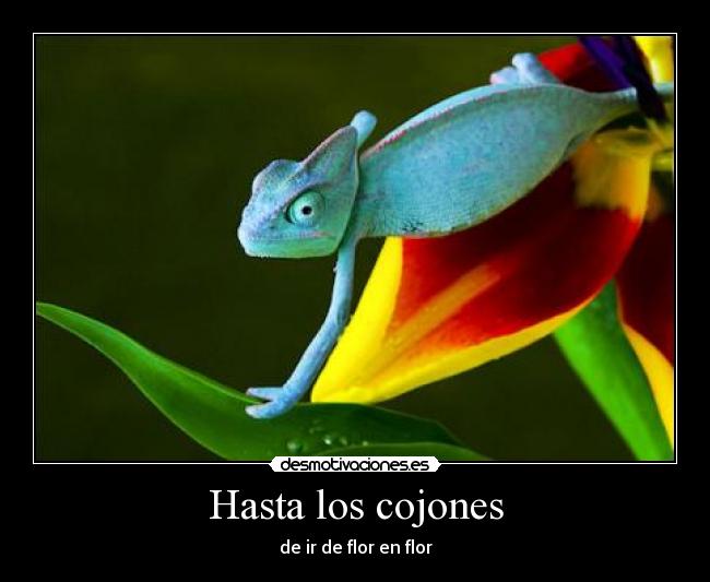 Hasta los cojones - de ir de flor en flor