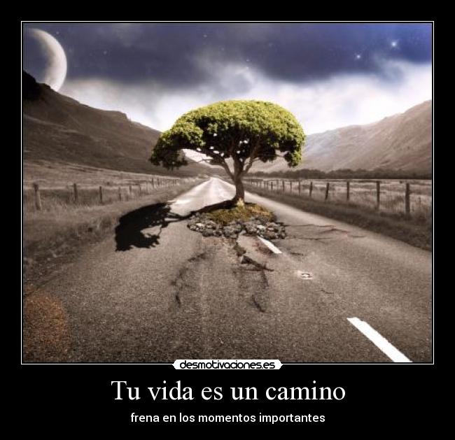 Tu vida es un camino - frena en los momentos importantes