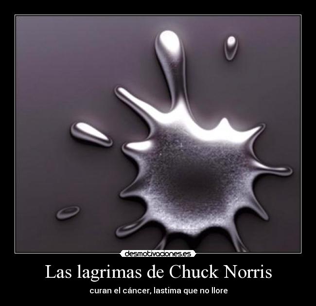 Las lagrimas de Chuck Norris - curan el cáncer, lastima que no llore