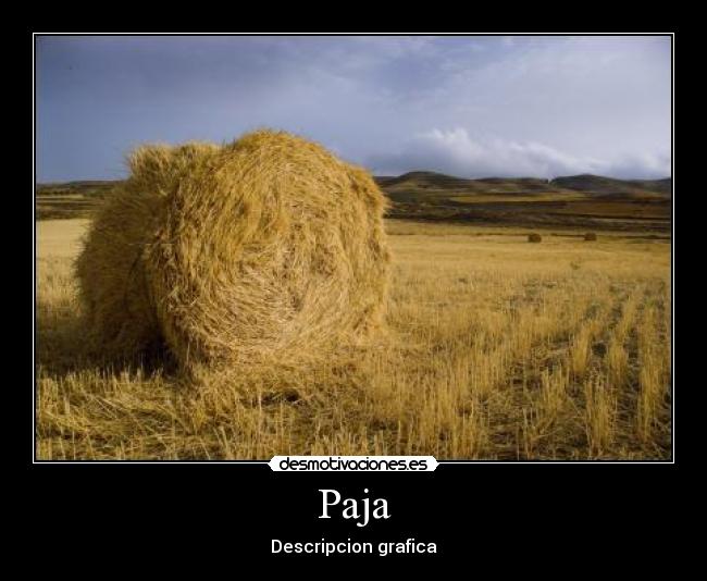 Paja - Descripcion grafica