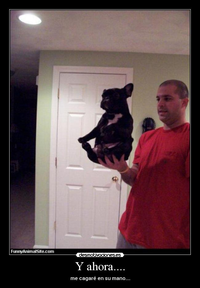 Y ahora.... - me cagaré en su mano....