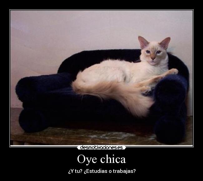 Oye chica - ¿Y tu? ¿Estudias o trabajas?