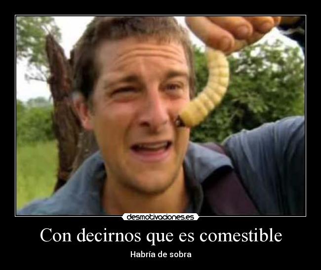 carteles bear grylls ultimo superviviente desmotivaciones