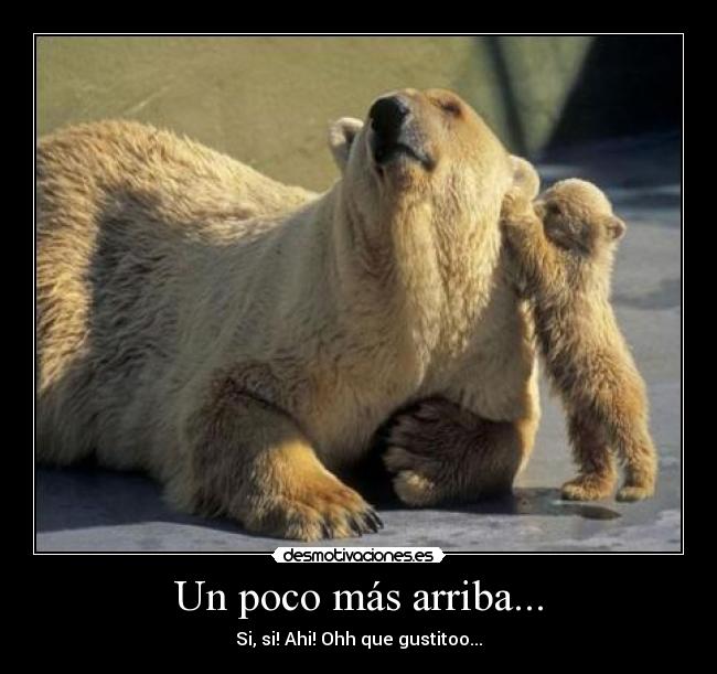 Un poco más arriba... - Si, si! Ahi! Ohh que gustitoo...