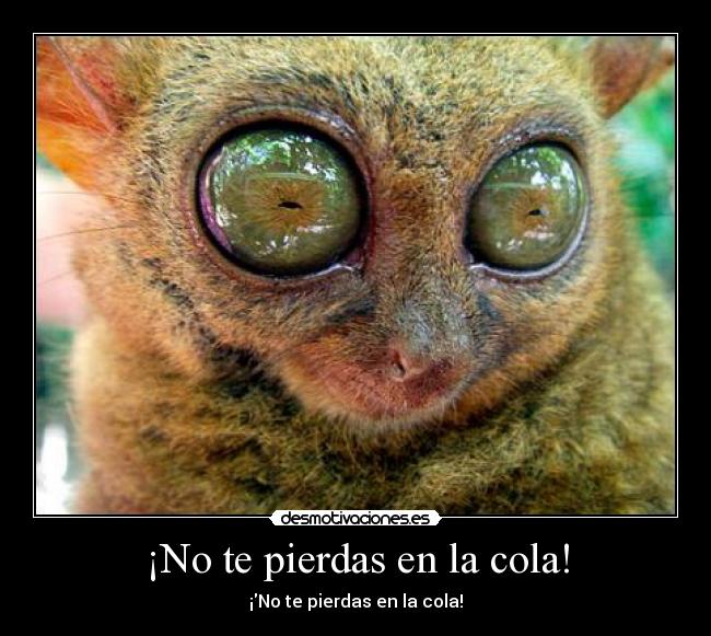 ¡No te pierdas en la cola! -