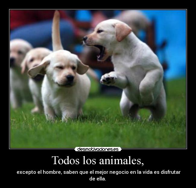 Todos los animales, - excepto el hombre, saben que el mejor negocio en la vida es disfrutar de ella.