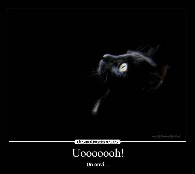 Uooooooh! - Un onvi....