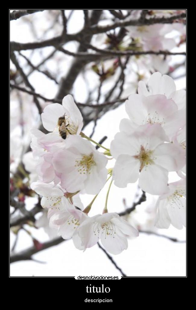 carteles upo desmotivaciones