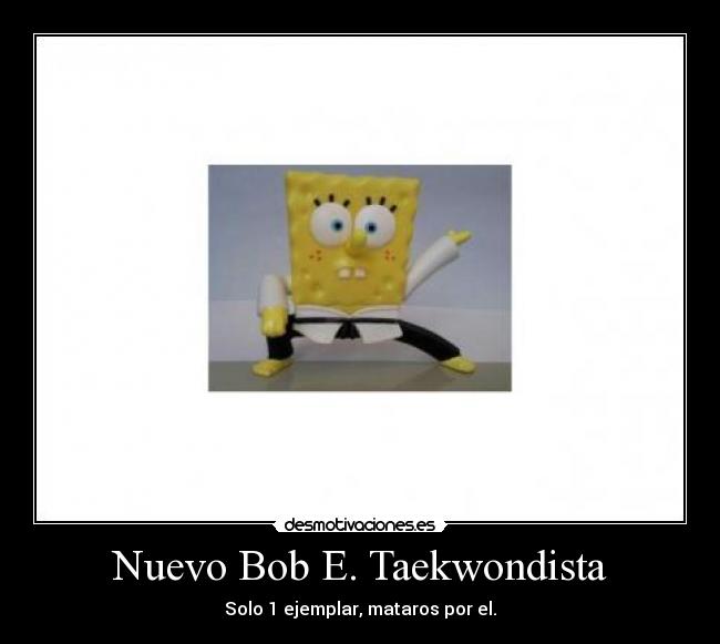 Nuevo Bob E. Taekwondista - 