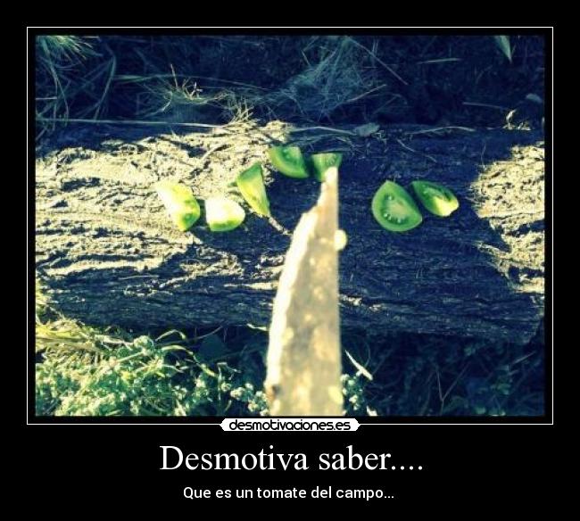 Desmotiva saber.... - Que es un tomate del campo...