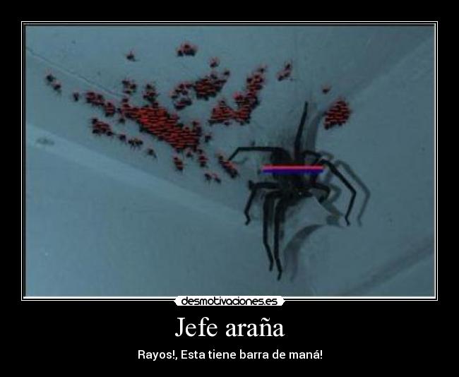 Jefe araña -