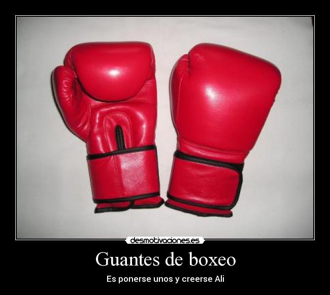 Guantes de boxeo -