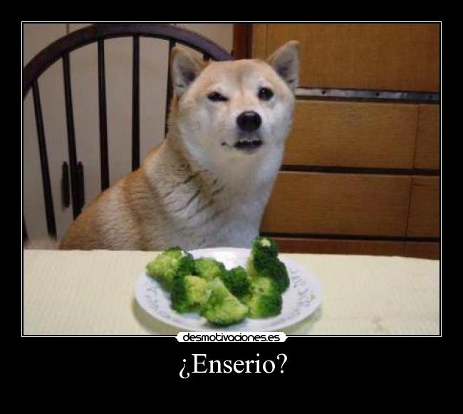 ¿Enserio? -
