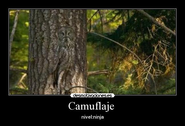 Camuflaje - nivel:ninja