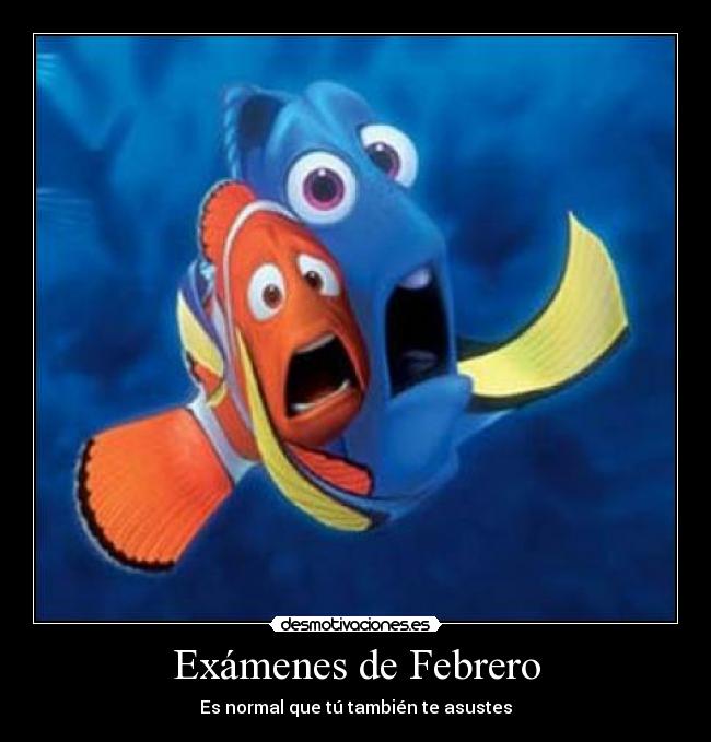 Exámenes de Febrero - Es normal que tú también te asustes