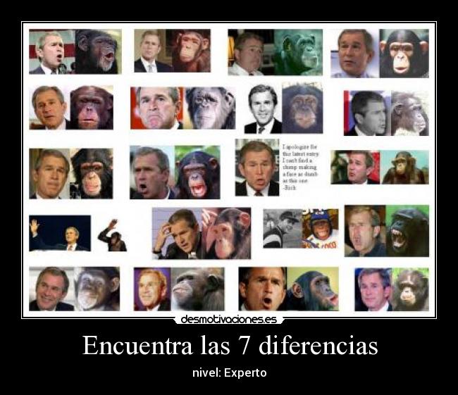 Encuentra las 7 diferencias - nivel: Experto