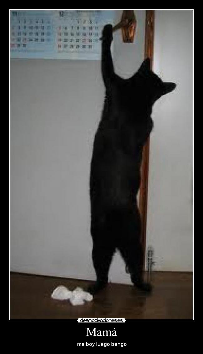 Mamá - 