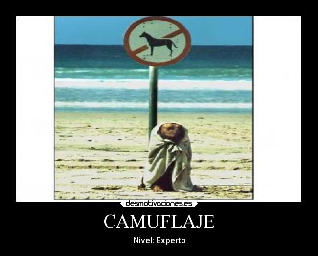 CAMUFLAJE -