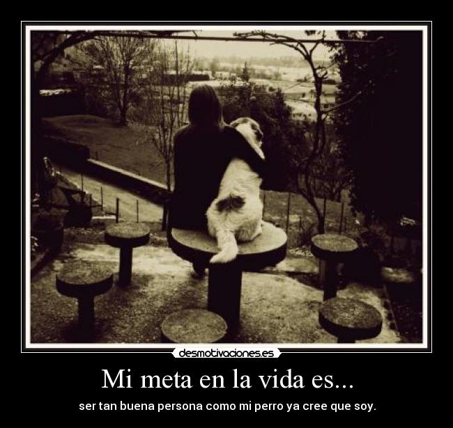 Mi meta en la vida es... -